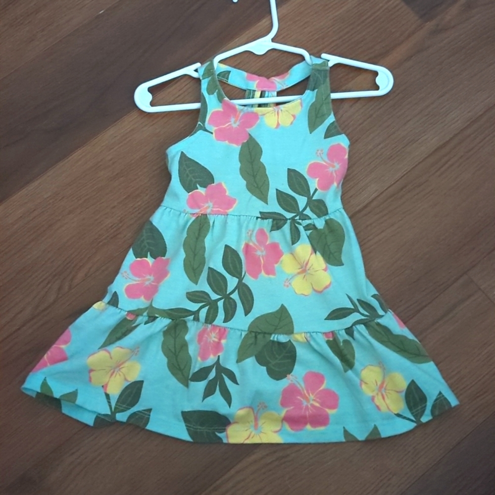Bundle 4/$20 Wonder Nation 18 month floral dress